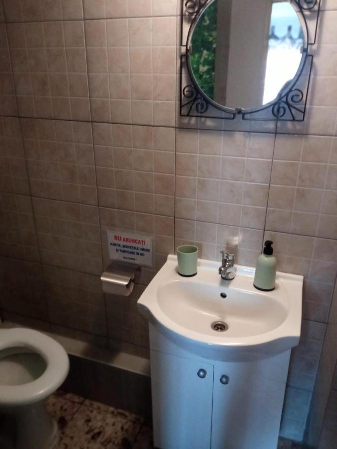 Casa Iuliana Otel Subcetate  Dış mekan fotoğraf